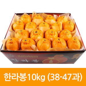 제주도특산품 한라봉 10kg 중(37-47과)