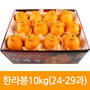 제주도특산품 한라봉 10kg 특대(24-29과)