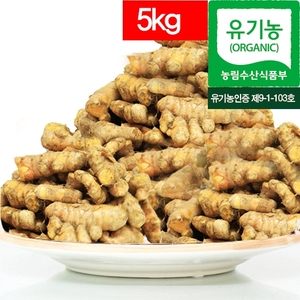 유기농 생 울금 종자 국산 강황 10kg