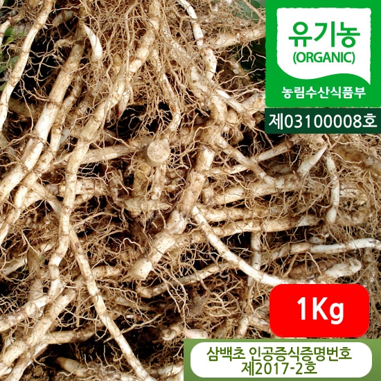 삼백초 뿌리 생뿌리 효능 1kg